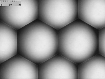 35um陣列.jpg 35um陣列.jpg